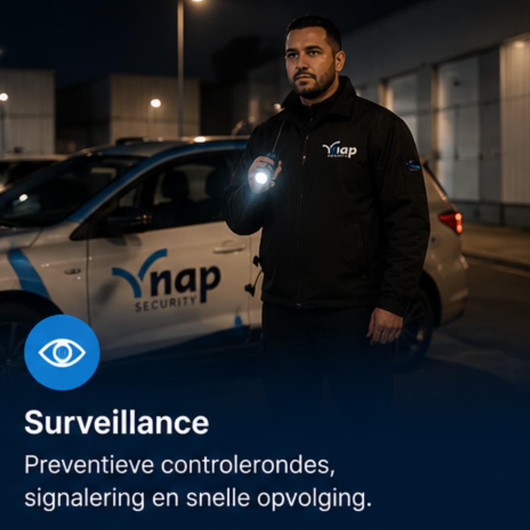 Nap Surveillance